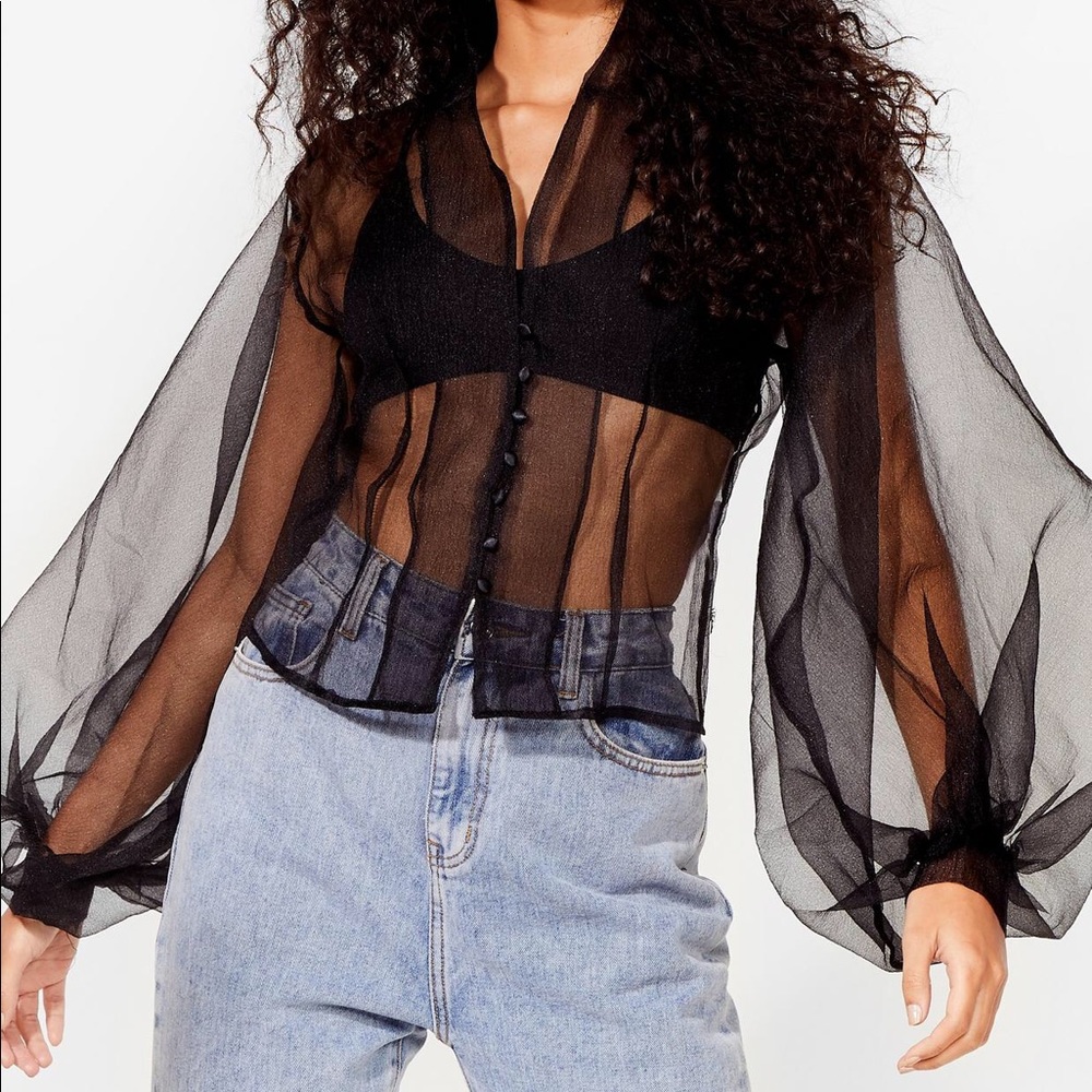 Balloon Sleeve Organza top